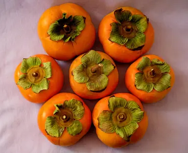 Benefits of Persimmons.