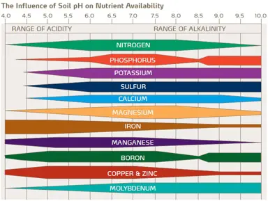 What Is The Optimum Soil pH For Corokia?