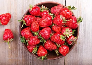 Choosing the Best Strawberry Varieties.