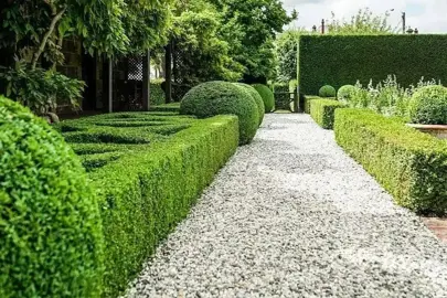 When Is The Best Time To Plant A Hedge?
