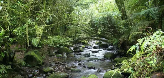 Creating A Biodiversity Corridor.