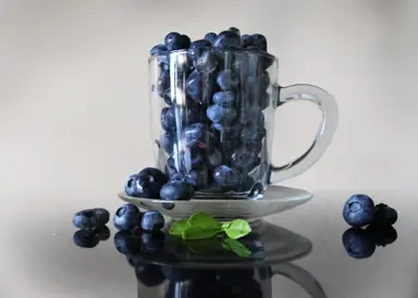 The Nutrition Benefits of Blueberries.