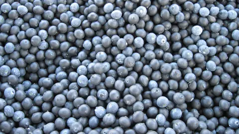 Understanding Blueberry Soil Requirements.