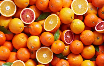 Where To Buy Bulk Oranges Trees.