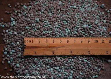 Cherry Tree Fertiliser.
