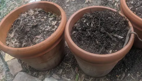 Should I Use Compost In My Plant Pots? .