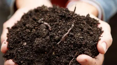Do Not Add Compost To A Poorly Drained Soil.