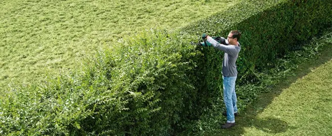 How To Create A Formal Hedge.