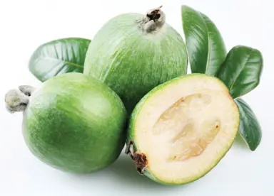 What Is The Feijoa Season In NZ?