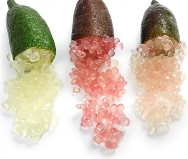 What Is The Difference Between A Caviar Lime And A Finger Lime?