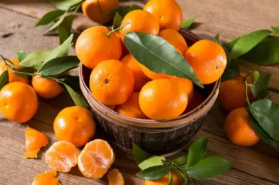 Growing Mandarins At Home.