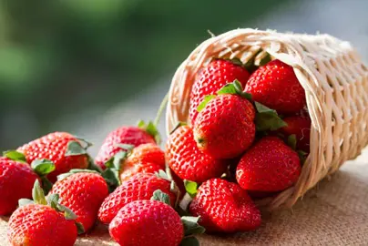 Harvesting Homegrown Strawberries.