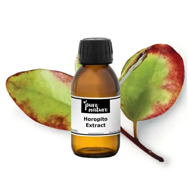 Horopito in Modern Herbal Medicine.