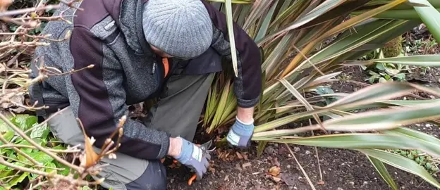 How Hard Can I Prune A Flax?