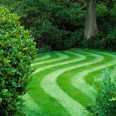 How To Make A Lawn Greener?