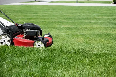How Often To Mow A Lawn .