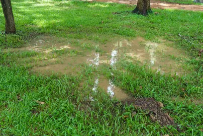 Fixing Poor Drainage In A Lawn.