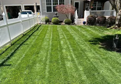Growing A Tall Fescue Lawn.