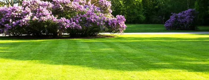 How To Get A Lawn Level? .