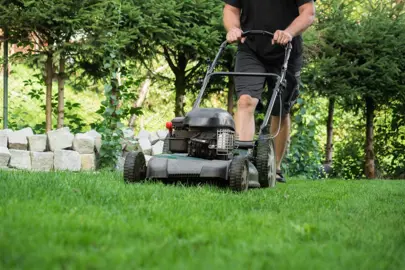 Mowing A New Lawn.