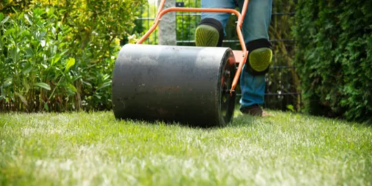 Rolling The New Lawn .