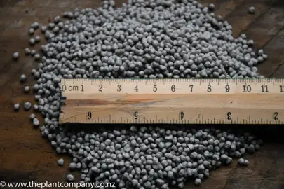 Indoor Plant Fertiliser NZ.