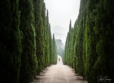 Landscape Uses.