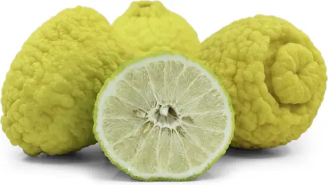 What Is The Largest Lemon Fruit?
