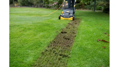 When And How To Scarify (Dethatch) A Lawn .