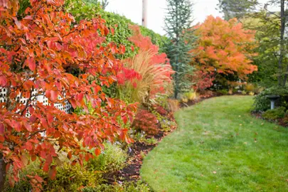 Lawn Maintenance In Autumn.