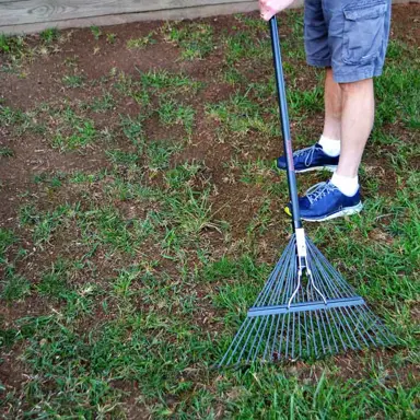 How To Prepare The Site For Over-Sowing A Lawn.