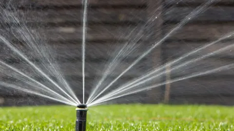 Is Watering Your Lawn A Waste Of Water? .
