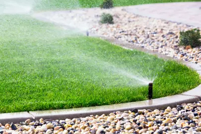 Lawn Watering Tips.