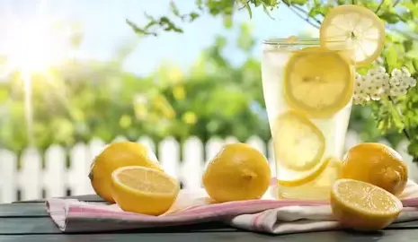 How To Care For Lemons In Summer.