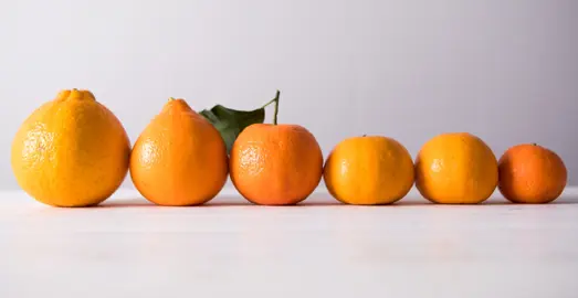 What Is The Difference Between Mandarin Varieties?