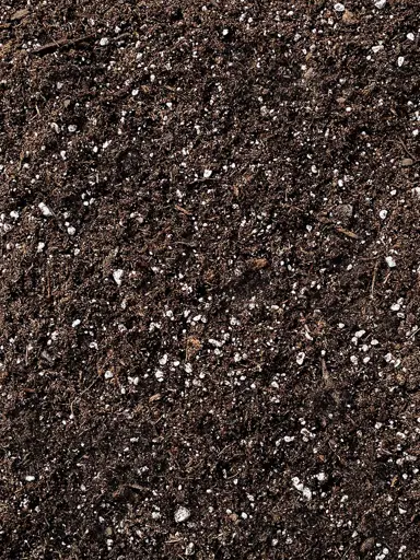 Soil and Potting.
