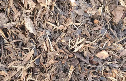 How To Mulch Around Nandinas.