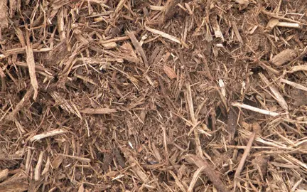 How To Mulch Around Flax Plants.