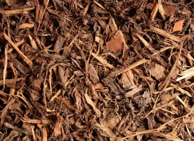 How To Mulch Around Pohutukawa.