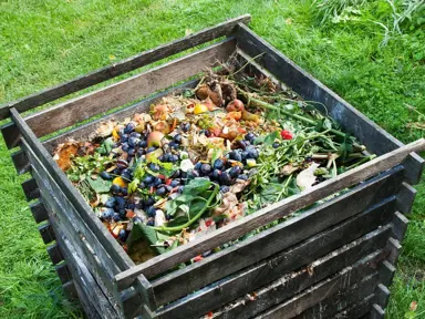 Neem Oil in Compost.