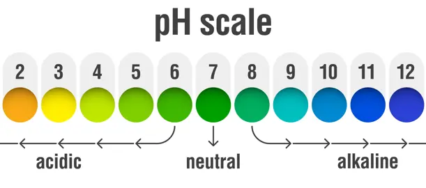 Best Soil pH For Agapanthus.