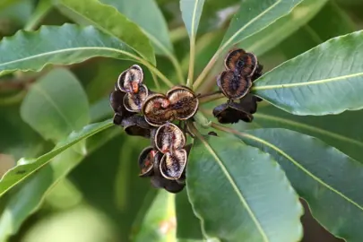 Propagation Techniques.