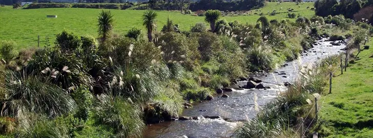 Planting Waterways.