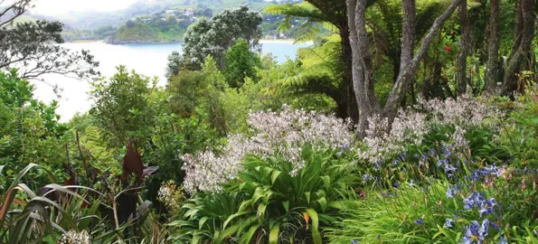 Plants For A Coastal Bank.