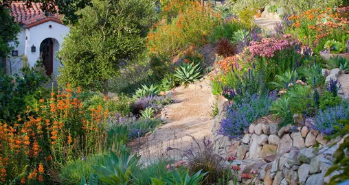 Plants For A Large Bank.