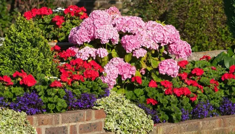 What Plants Can be Grown With Hydrangeas?