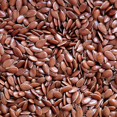 How To Produce Flax Seeds.