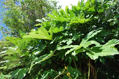 Find the Perfect Sun and Wind-Sheltered Spot.