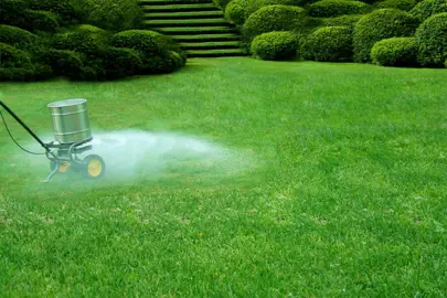 Should I Put Lime On My Lawn? .