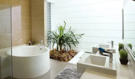 Tips for Maintaining Bathroom Plants.